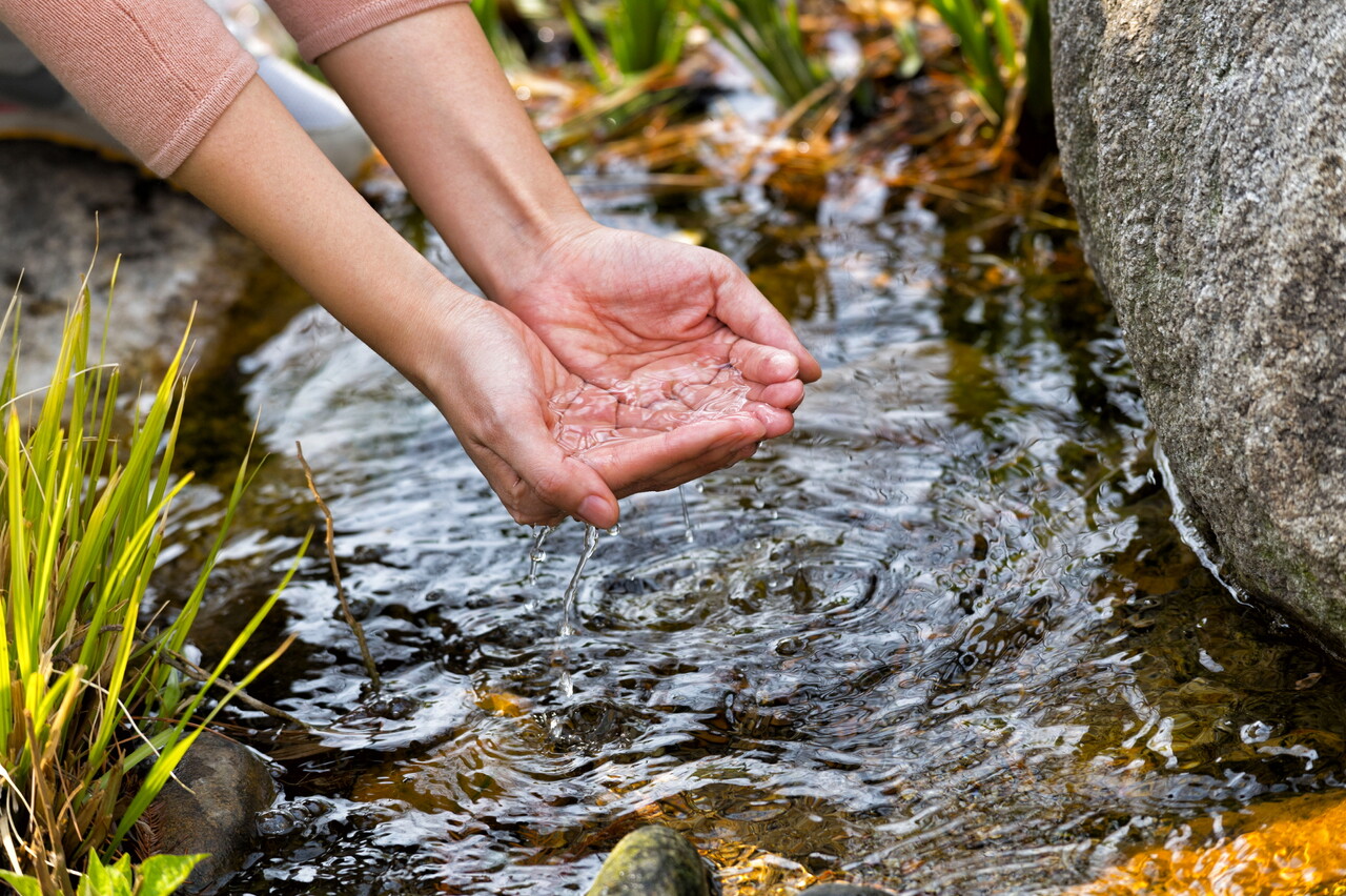 삼성전자 직원이 화성 사업장 ‘그린센터(폐수처리시설)’에서 정화시킨 물로 조성한 연못에서 손을 적시는 모습